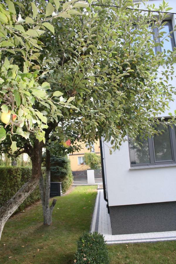 אילאווה Villa Ilava מראה חיצוני תמונה